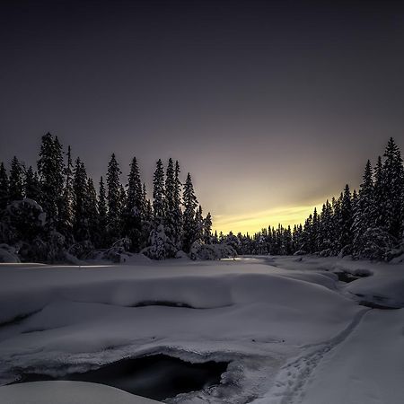 Umnas Adventure Hotel Storuman Eksteriør bilde