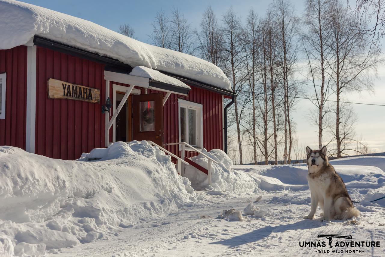 Umnas Adventure Hotel Storuman Eksteriør bilde